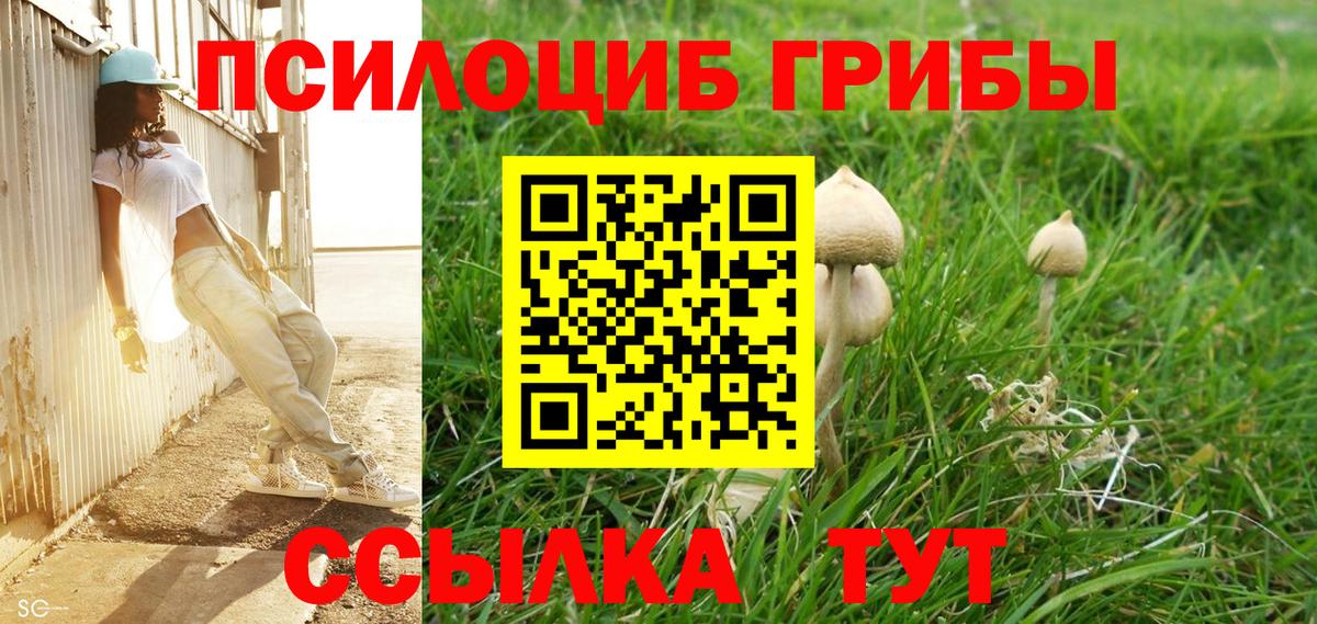 Псилоцибиновые грибы мицелий Троицк